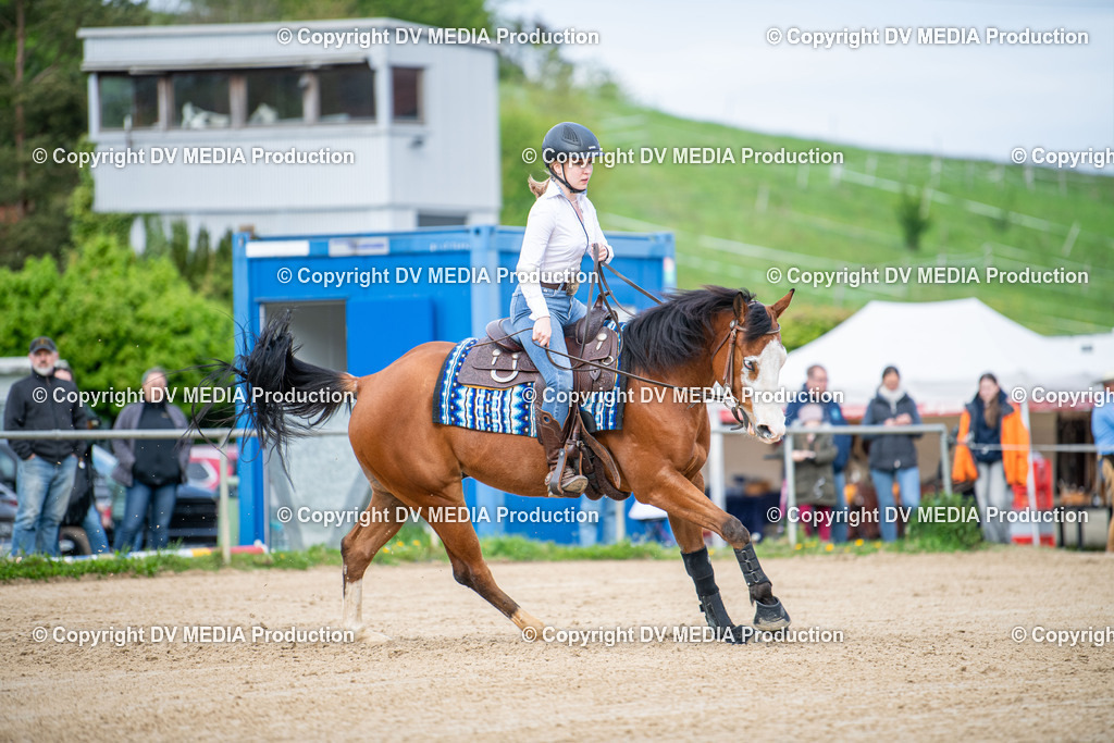 Heiligenwald Tag 1-2484 | dv-media-shop - Realisiert mit Pictrs.com