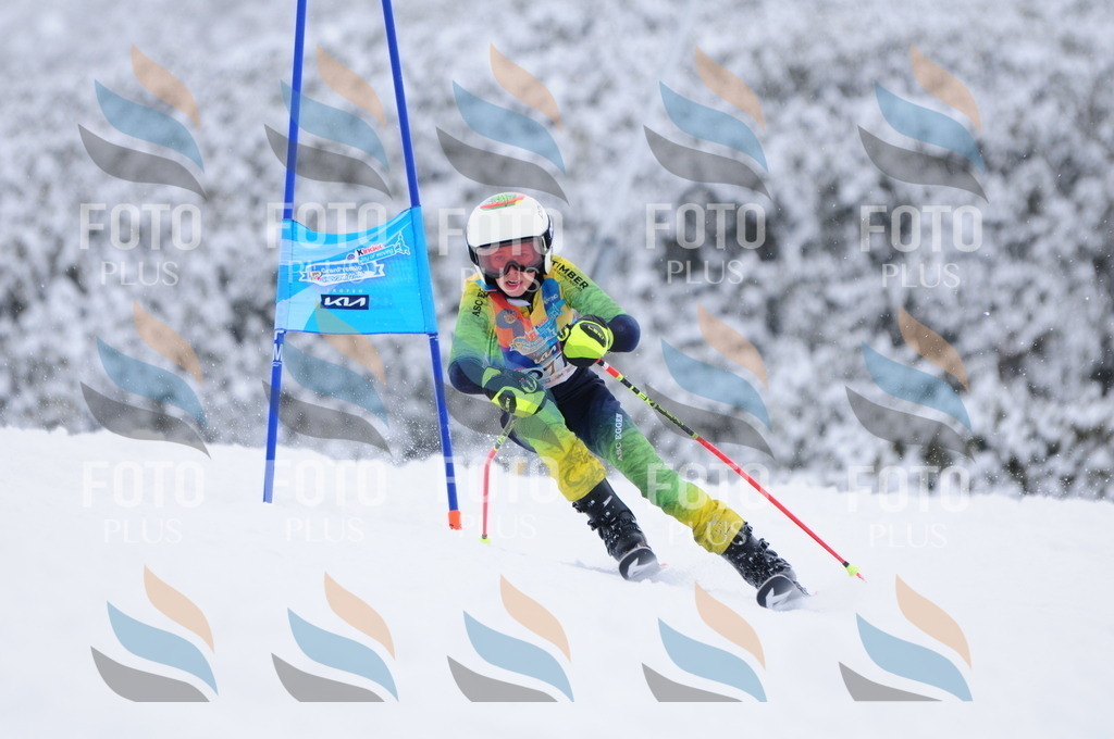 C2930 | holidayphoto