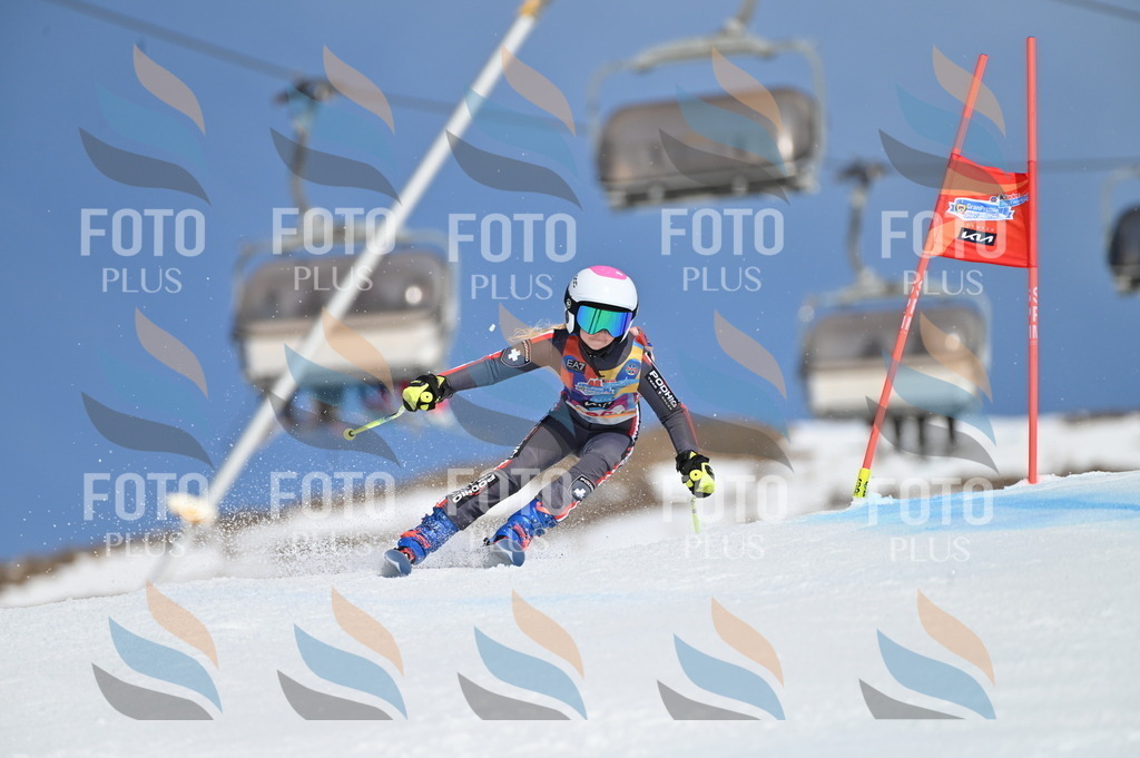 BGV_9172 | holidayphoto