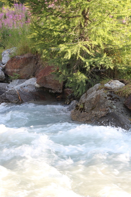 IMG_3237 | Raphael - Realisiert mit Pictrs.com