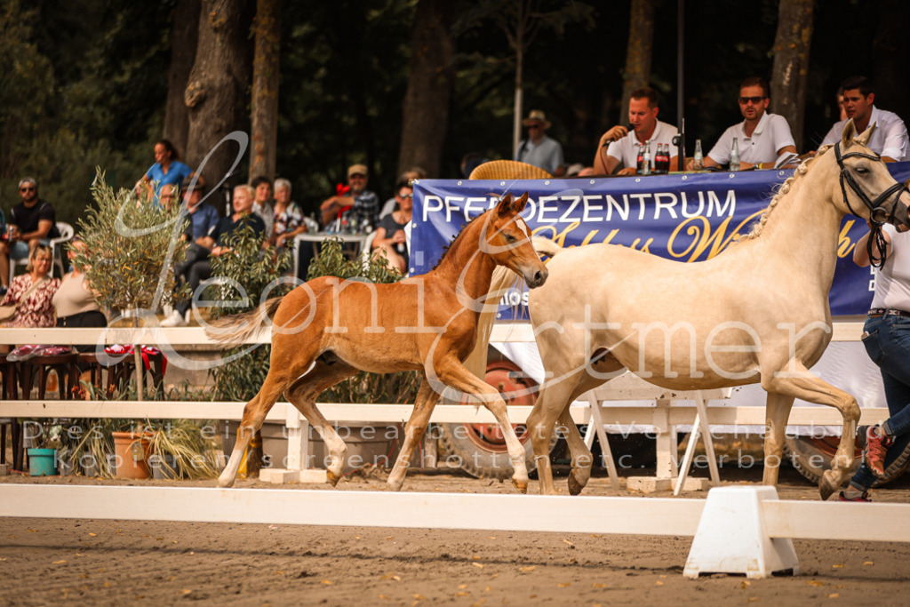 SaPA00079 | Leoni Ertmer Photography - Realisiert mit Pictrs.com