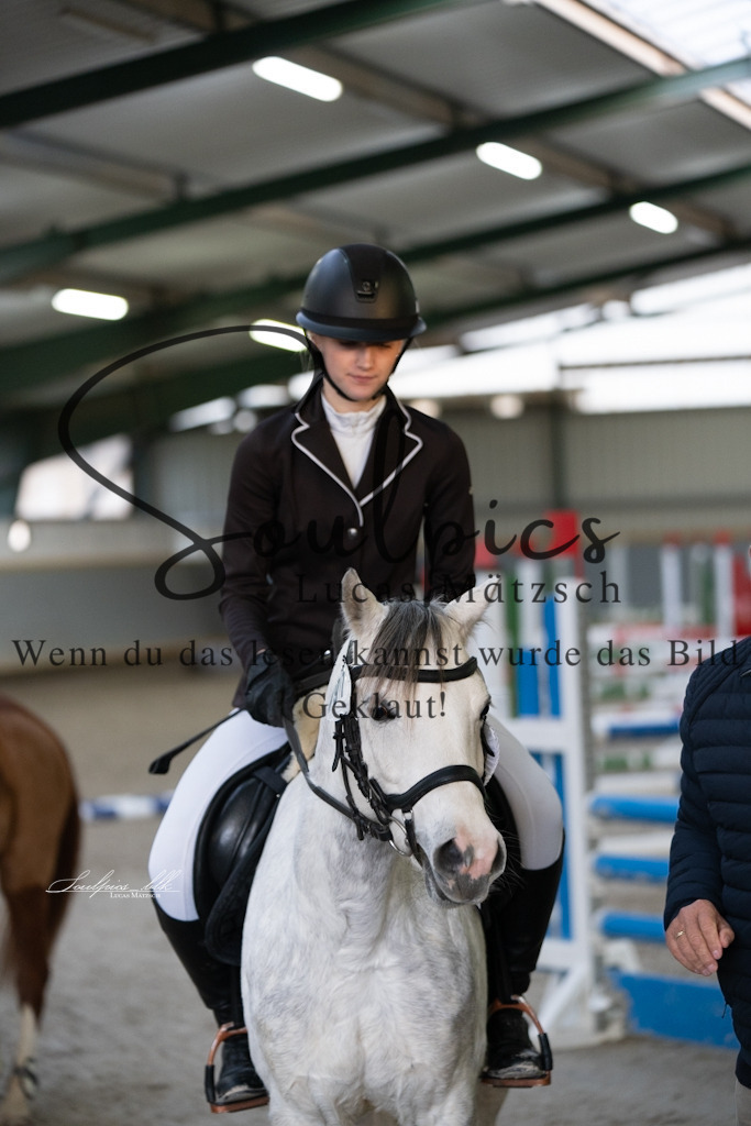 A7V01665 | Pferdefotograf