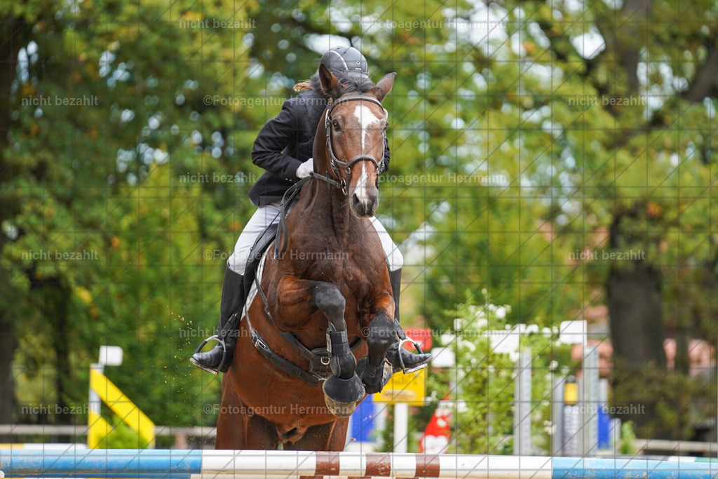 20221009-FAH08737 | Diessen am Ammersee, 2022, Dressur- und Springturnier, Reitsportbilder, Turnierfotografen Bayern, Pferdefotografen, Fotoagentur Herrmann, Turnierbilder