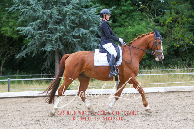 DKP46888 | Turniersportfotografie; Pferdefotografie; Dressurfotografie