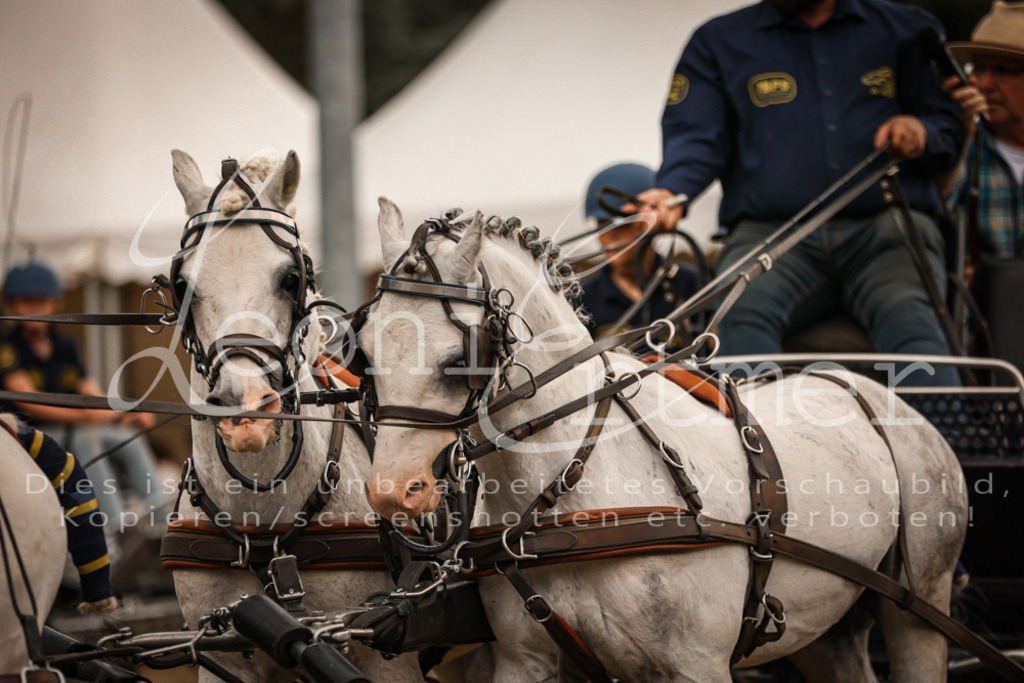 SoShow00315 | Leoni Ertmer Photography - Realisiert mit Pictrs.com