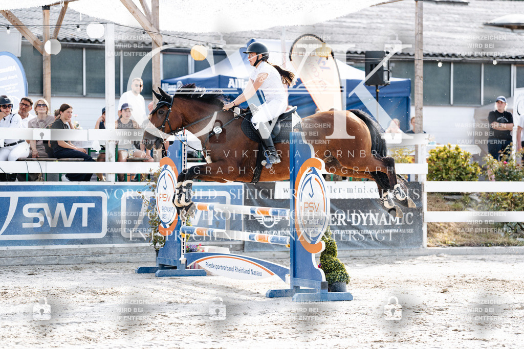 CK905890 | Turnierfotografie Pferdefotografie Trier Rheinland-Pfalz Pferdesport Reitsport Tierfotografie Sportfotografie Pferdevideo Pferdevideografie Equestrianvideography equestrianphotography  - Realisiert mit Pictrs.com