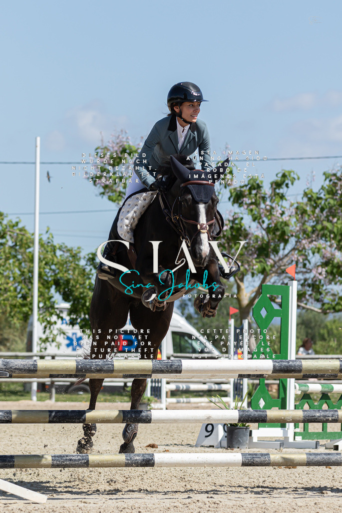 IMG_0696 | s-jay-photography - Realisiert mit Pictrs.com