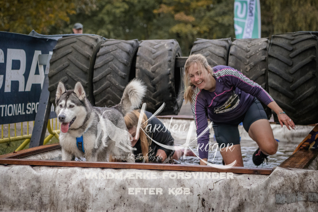 1704_ZZ94753 | kk-dogfotos