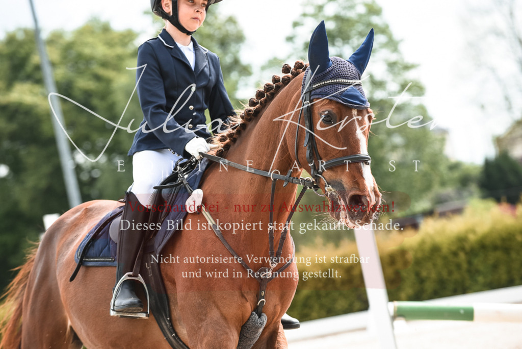 20230518_JK-Röhrsdorf-10-016 | Pferde- und Turnierfotografie in Westsachsen. Pferdeportraits, Auftragszeichnungen und intuitive Kunst.