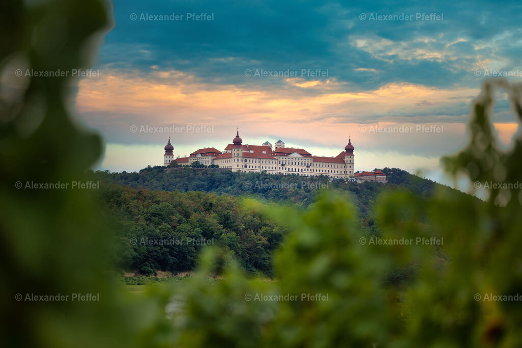 foto_c_pfeffel-partner-0026-R5_12362-Bearbeitet | alexander-pfeffel - Realisiert mit Pictrs.com