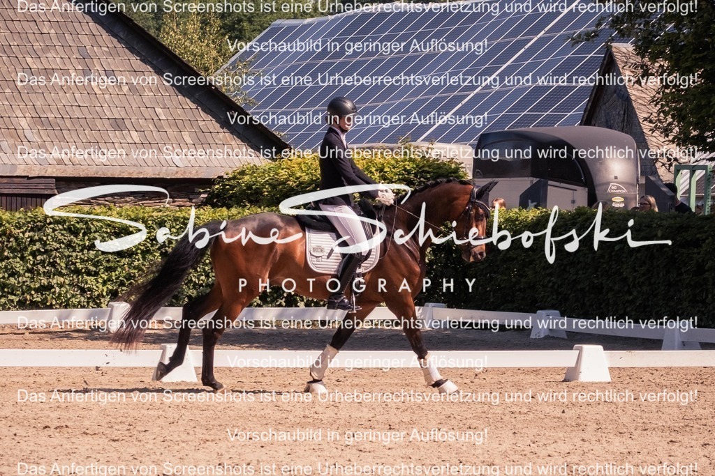 2025_05_31_DSCF3137 | People- und Tierfotografie, Imageaufnahmen, Veranstaltungsfotografie und Wandbilder aus der Natur ★ Made in Germany ✔️ Druck + Downloads ✔️ Naturfotografie in Top Qualität ★ schneller Versand, weltweite Lieferung! - Realisiert mit Pictrs.com