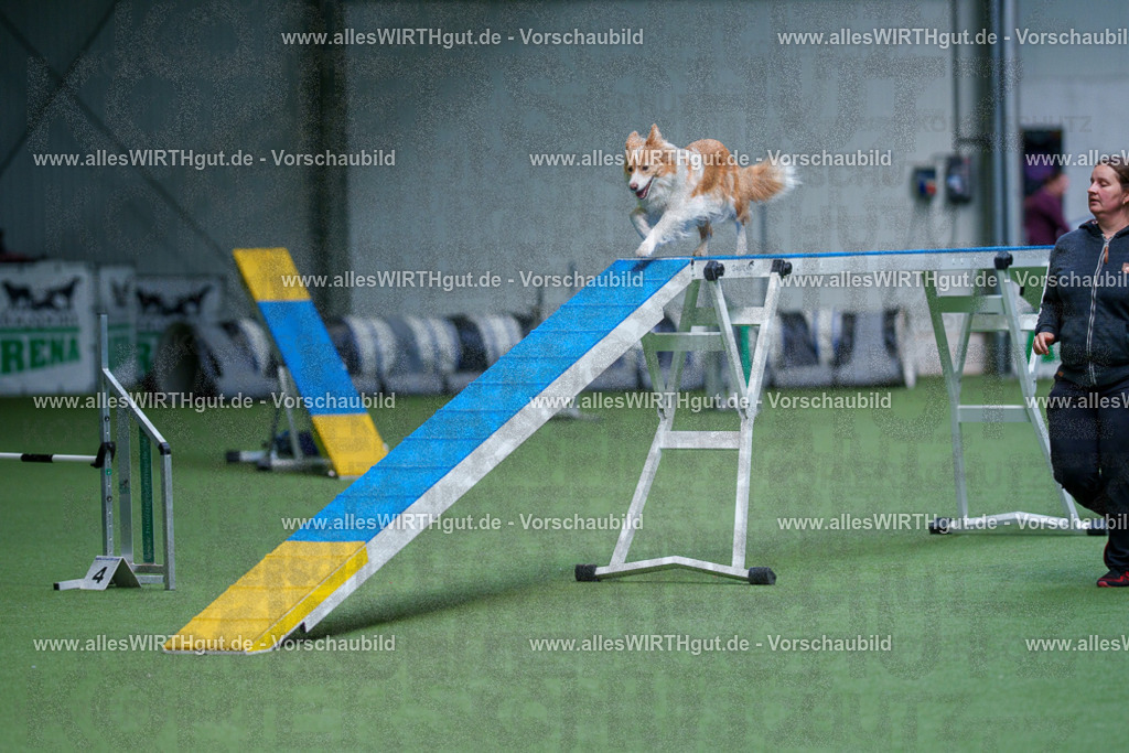 @allesWIRTHgut_Tierfotografie - www.allesWIRTHgut.de - 2604260920-7R507369 | Professionelle Tierfotografie in Mönchengladbach von Daniel Wirth (allesWIRTHgut). Liebevolle & natürliche Bilder von Hunden & Katzen für unvergessliche Erinnerungen.