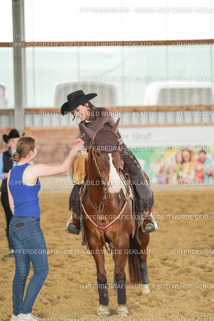 DSC05141 | Pferdegrafie