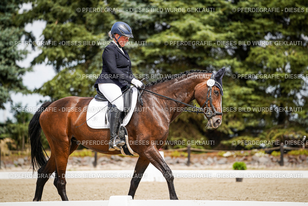 DSC03632 | Pferdegrafie