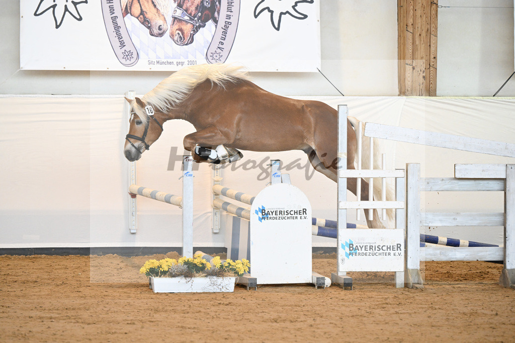Kat-Nr. 16 v. Sturmdrang_HLG Schwaiganger_2230238 | hf-fotografie - Realisiert mit Pictrs.com