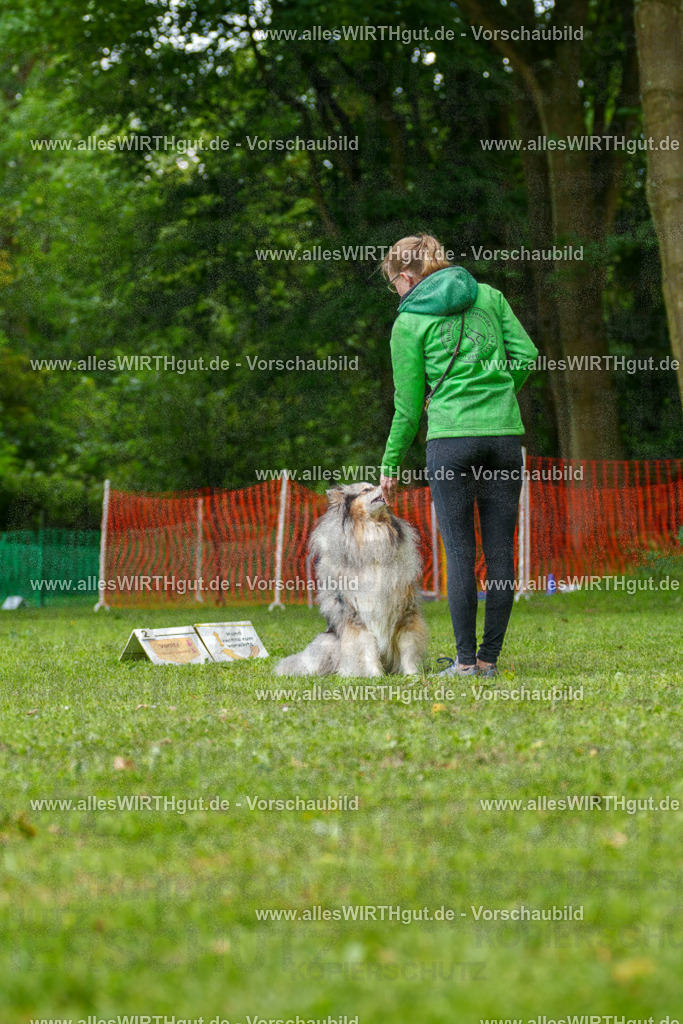 @allesWIRTHgut_Tierfotografie - www.allesWIRTHgut.de - 083333-7R506334 | Professionelle Tierfotografie in Mönchengladbach von Daniel Wirth (allesWIRTHgut). Liebevolle & natürliche Bilder von Hunden & Katzen für unvergessliche Erinnerungen.