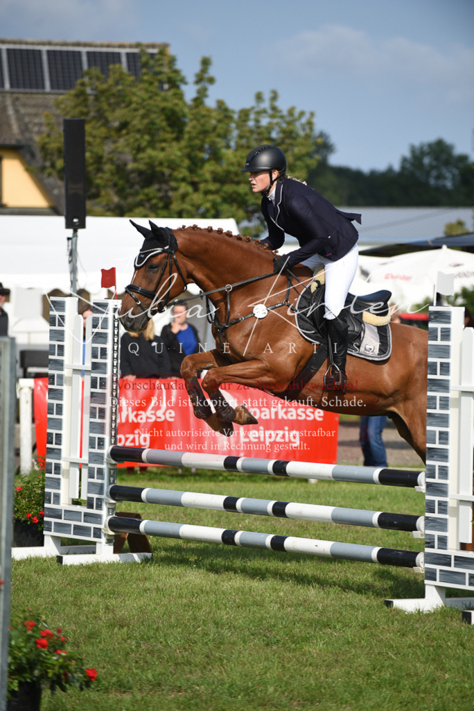 DSC_8826 | Pferde- und Turnierfotografie in Westsachsen. Pferdeportraits, Auftragszeichnungen und intuitive Kunst.