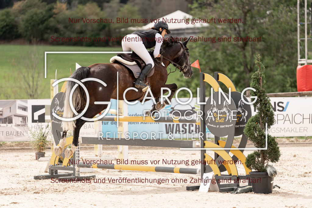 DSC06482 | Springturnier_Teamchallege_Talheim_2026, Janine_Milz, Usted_vd_Donkhoeve