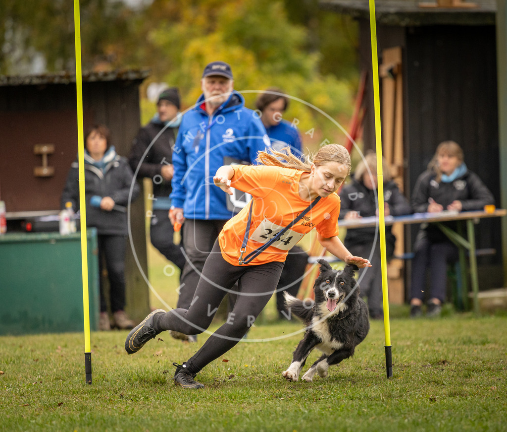 Pfotenfotografie_DV3A6220 | Hundefotografie, Tierfotograf, Pfotenfotografie, Fotoshooting Hund, Hunde Portrait, Hundesport, Hundeportraits, Heideshooting, Hunde, Sportfotograf, Hundefotograf, Turnierhundsport, THS,  - Realisiert mit Pictrs.com