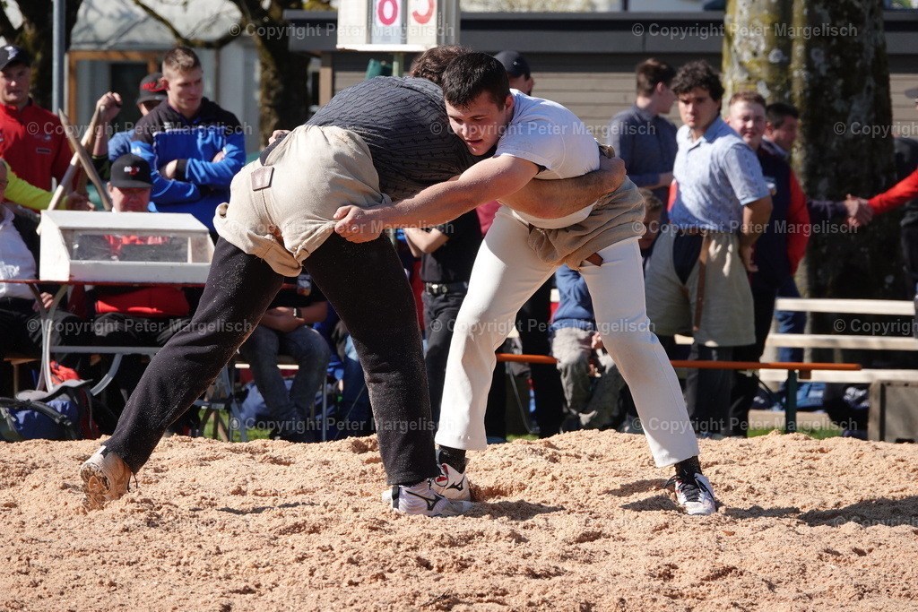 DSC02265 | Schwingen - Realized with Pictrs.com