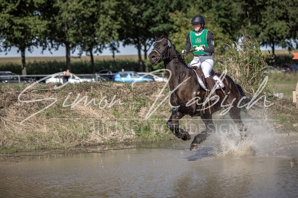 20250907-_3LI3302 | Tierfotografie Pferde, Hunde, Katzen, Haustiere.
Turnierfotografie Reitturniere, Reiten, Springreiten, Dressur in Hanau, dem Main-Kinzig-Kreis und dem Rhein-Main- Gebiet um Frankfurt