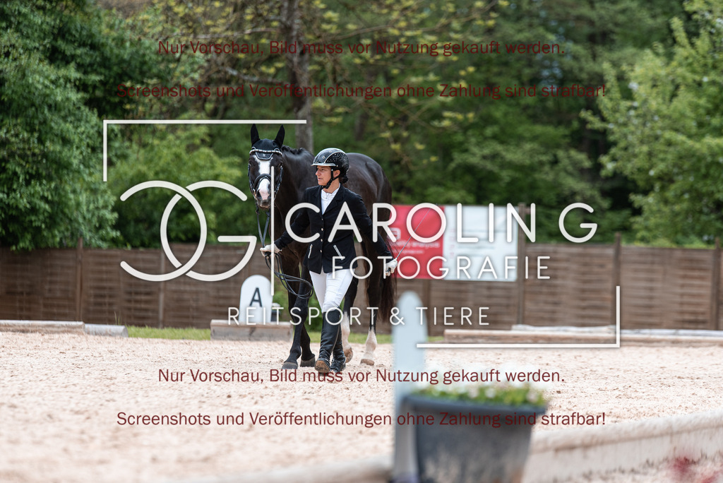 DSC_6790 | Turnierfotografin Carolin Gieschke,Reitsport Turnierfotografie Carolin G Fotografie | Turnierfotos aus Kirchheim/Teck, Esslingen, Stuttgart und dem Bodenseekreis