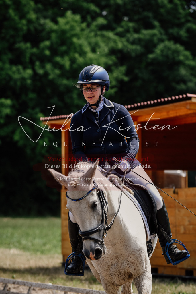DSC_1800 | Pferde- und Turnierfotografie in Westsachsen. Pferdeportraits, Auftragszeichnungen und intuitive Kunst.