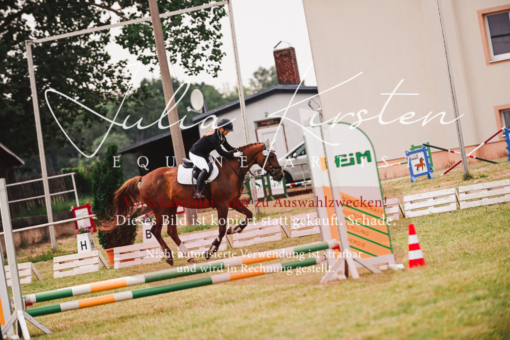 DSC_6882 | Pferde- und Turnierfotografie in Westsachsen. Pferdeportraits, Auftragszeichnungen und intuitive Kunst.
