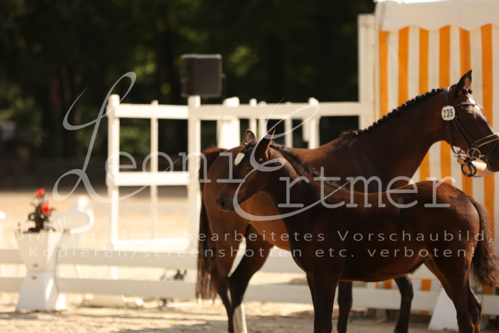 08.DoRPS00025 | Leoni Ertmer Photography - Realisiert mit Pictrs.com