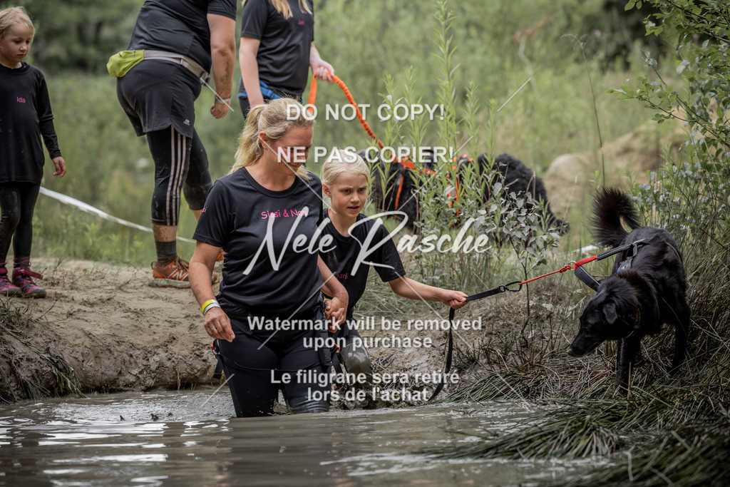 nelerasche_so1515-1530_376 | nelerasche