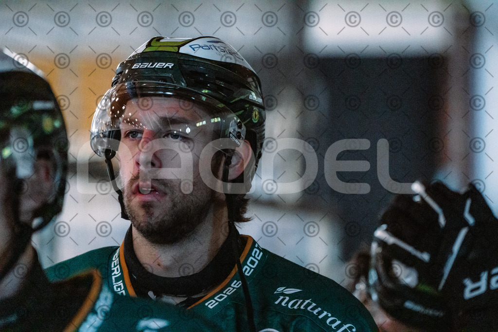 Alligators_vs_Erfurt_06_09_2026-11 | Die Fotogalerie von Daddel: professionelle Bilder von Sport, Events und Unternehmen aus Franken. Jetzt Galerien durchstöbern und Lieblingsfotos bestellen. - Realisiert mit Pictrs.com