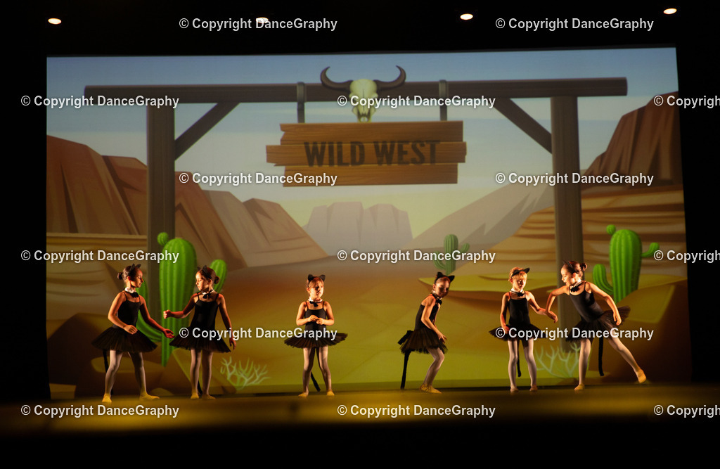 GPHY4237 | DanceGraphy - Realisiert mit Pictrs.com