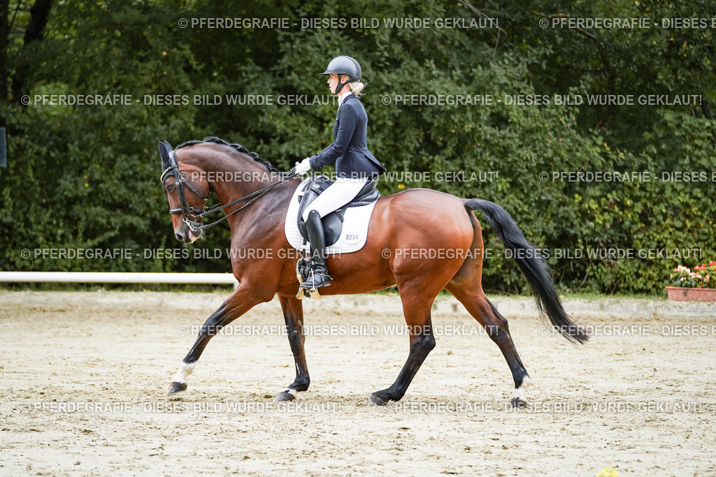 DSC09310 | Pferdegrafie