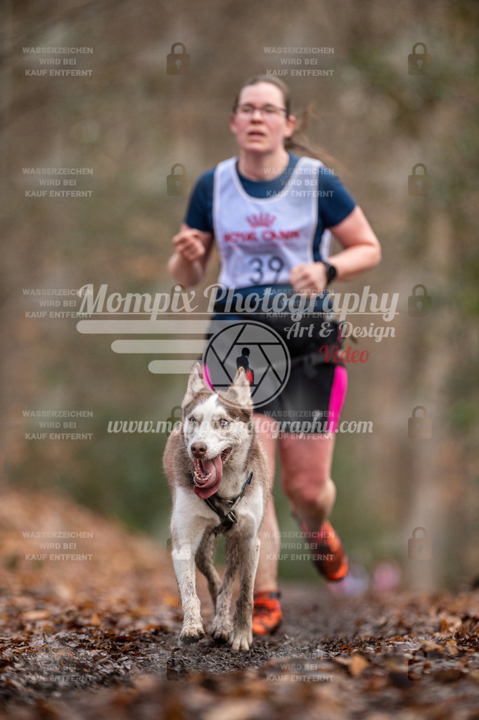 SPA_2023_DIM_CCL-147 | PayLife