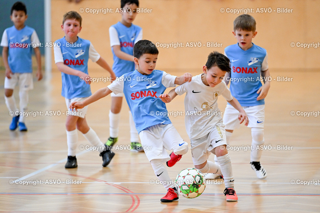 ASVÖ_ Fussballturnier SV Gallneukirchen_ 08.02.2025-67 | 08.02.2025, Gallneukirchen, AUT, ASVÖ, Fussball Nachwuchs Hallenturnier 2025, SV Gallneukirchen im Bild Teilnehmer U 7©Harald Dostal / fodo.media - Realisiert mit Pictrs.com