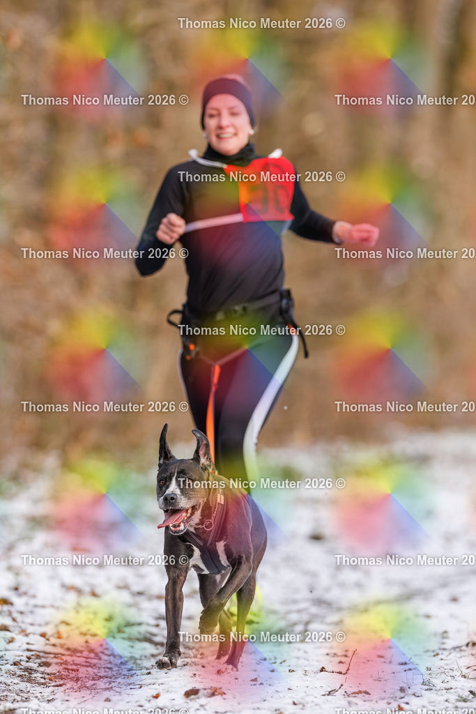 Thomas_Nico_Meuter(C)_223A8727 | Bild von Thomas Nico Meuter - Realisiert mit Pictrs.com