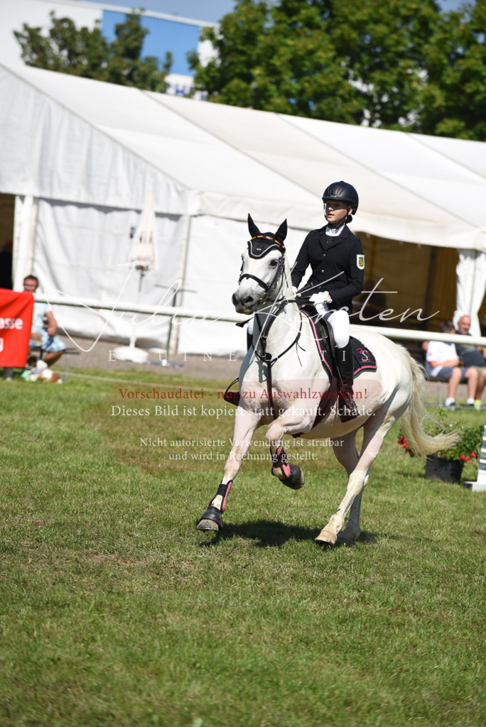 DSC_9481 | Pferde- und Turnierfotografie in Westsachsen. Pferdeportraits, Auftragszeichnungen und intuitive Kunst.