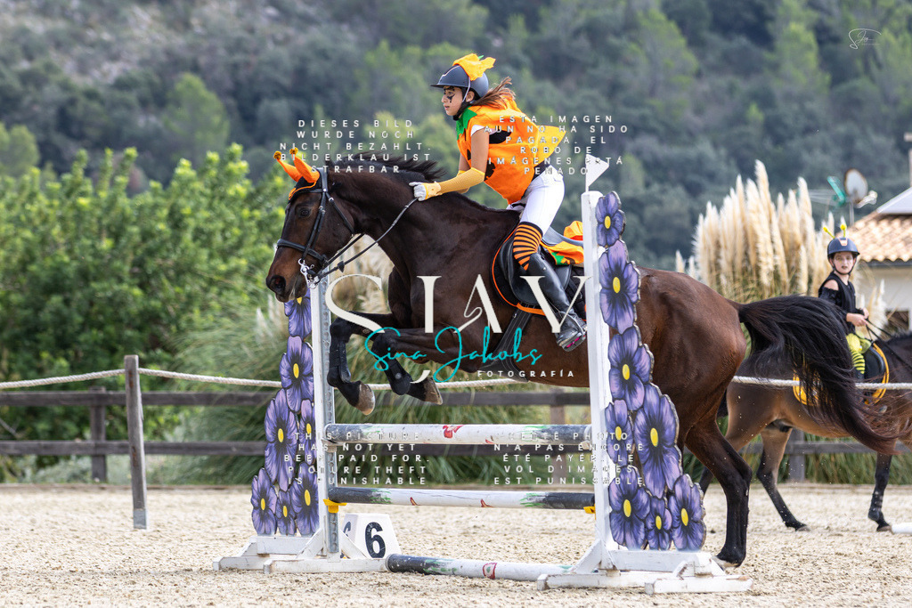 IMG_2686 | s-jay-photography - Realisiert mit Pictrs.com