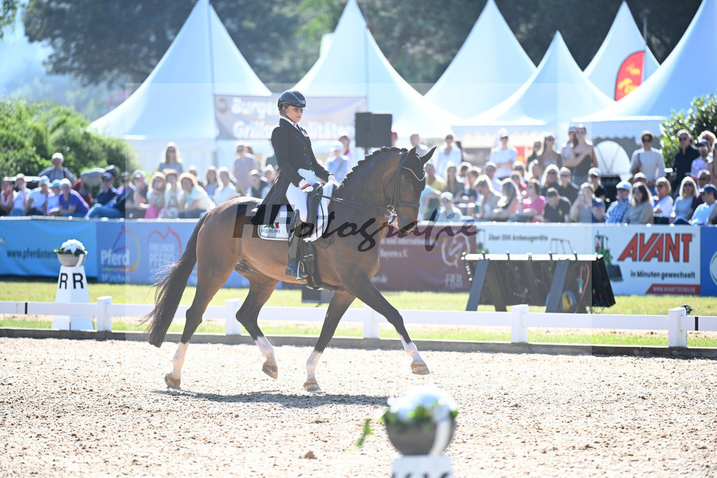 Schneider_Dayman_11253883 | hf-fotografie - Realisiert mit Pictrs.com