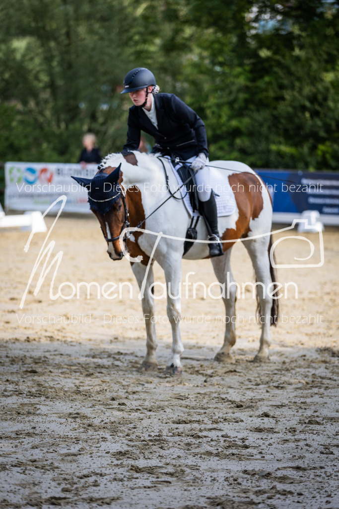 Donop24-A-Dre-049 | MomenTaufnahmen Pferdesportfotos