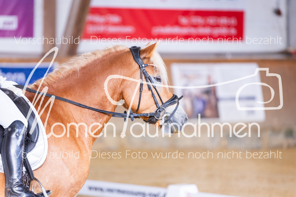 Sth-A-Dre-1St-105 | MomenTaufnahmen Pferdesportfotos