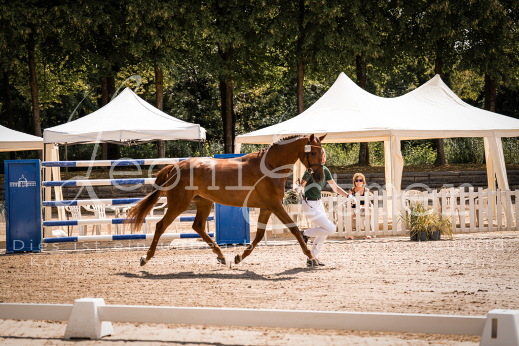 1.Fr00053 | Leoni Ertmer Photography - Realisiert mit Pictrs.com