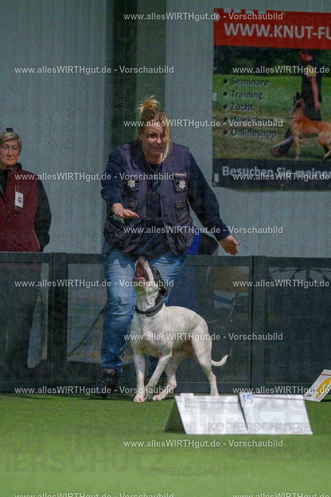 7R507785 | Professionelle Tierfotografie in Mönchengladbach von Daniel Wirth (allesWIRTHgut). Liebevolle & natürliche Bilder von Hunden & Katzen für unvergessliche Erinnerungen.