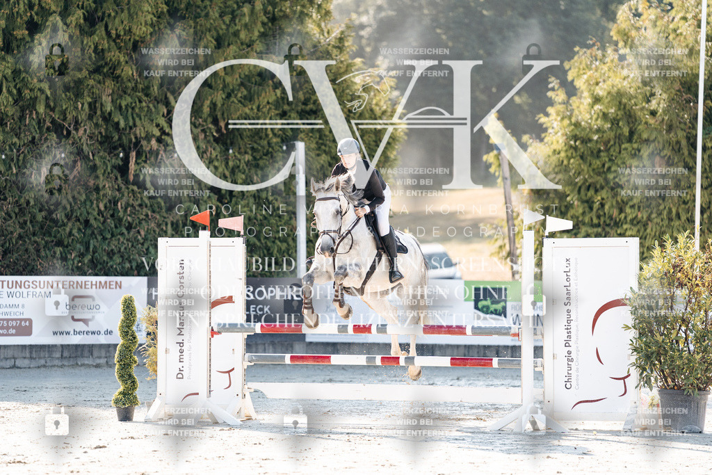 CK907511 | Turnierfotografie Pferdefotografie Trier Rheinland-Pfalz Pferdesport Reitsport Tierfotografie Sportfotografie Pferdevideo Pferdevideografie Equestrianvideography equestrianphotography  - Realisiert mit Pictrs.com