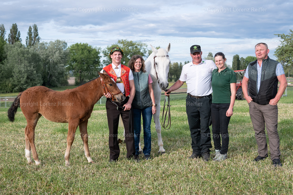 Schwingen -  Thurgauer Kantonales 2024 | Ermatingen, 5.5.24, Schwingen - Thurgauer Kantonales.