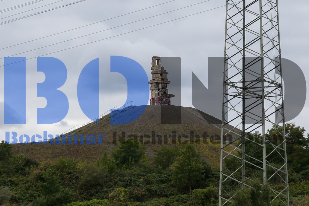 SES_LOHSYU20250822-18 | bond - Realisiert mit Pictrs.com