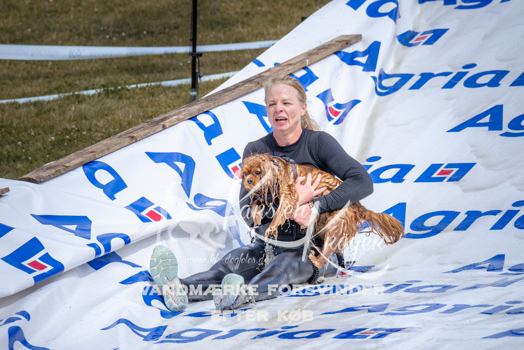 _ZZ910050911 | kk-dogfotos