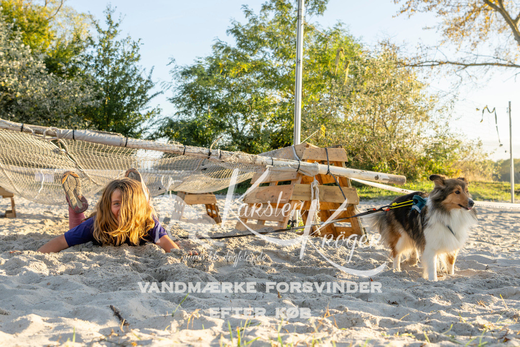 1714_ZZ90908 | kk-dogfotos