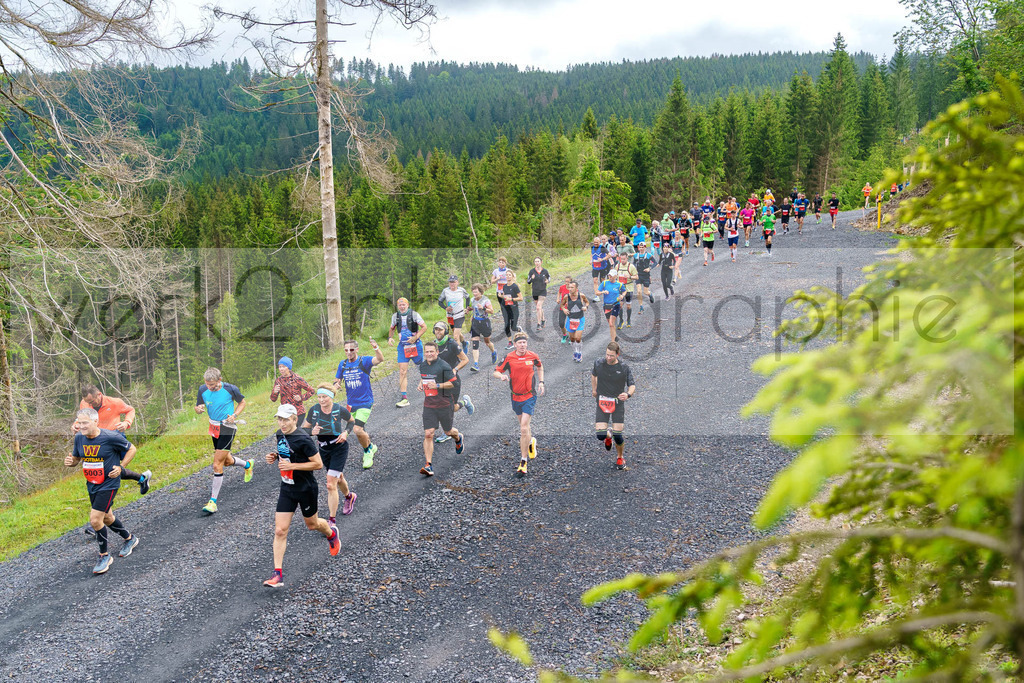 Rennsteiglauf Marathon 2024 | 25. Mai 2024 - 42,2 km von Neuhaus nach Schmiedefeld