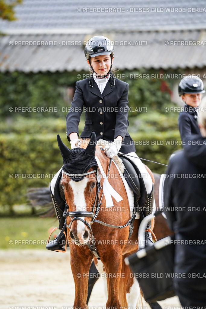 DSC05744 | Pferdegrafie